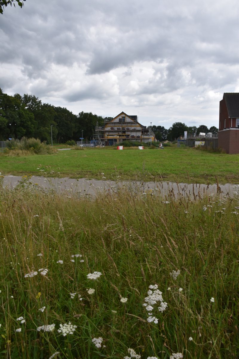 Delflanden Emmen, Delftlanden, Woonwijken, Delftlanden